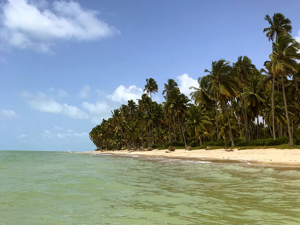 Praia da Ponta do Mangue em Maragogi